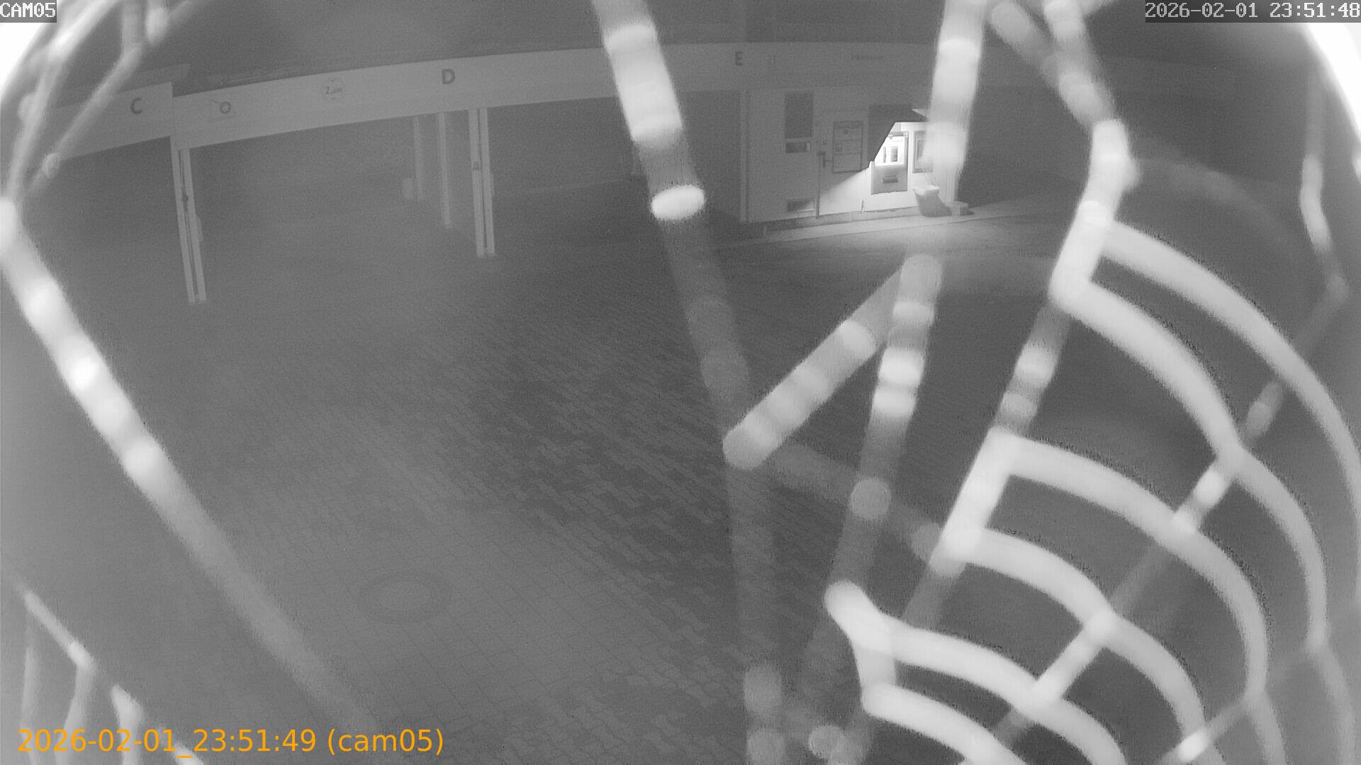 thumbnail_20260201235149