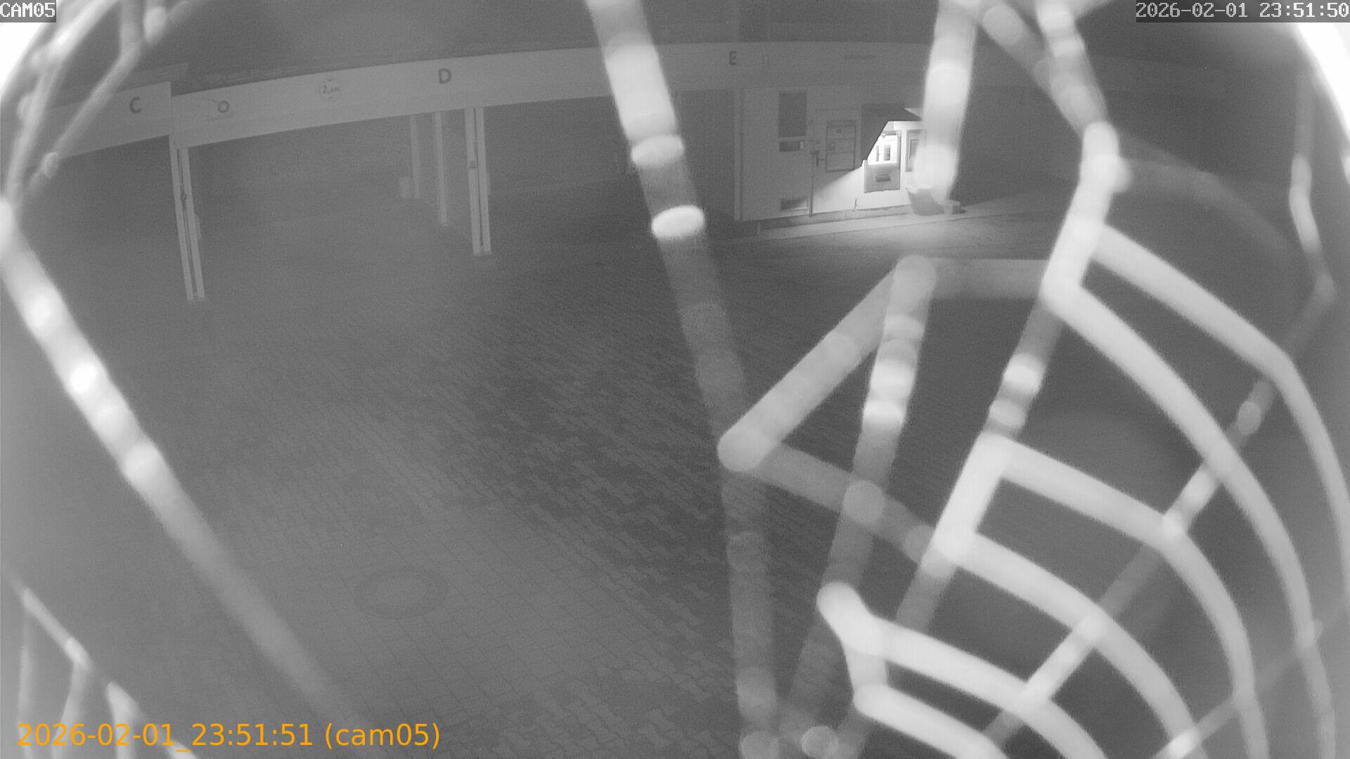 thumbnail_20260201235151