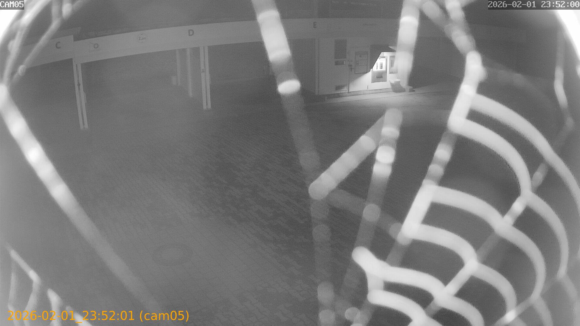 thumbnail_20260201235201