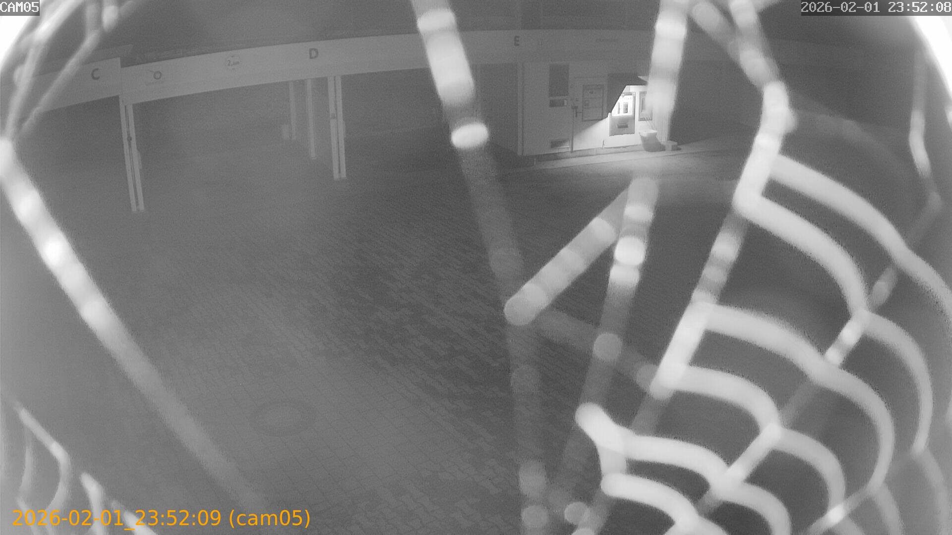 thumbnail_20260201235209