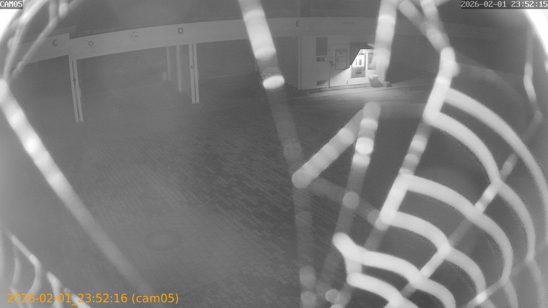 thumbnail_20260201235216