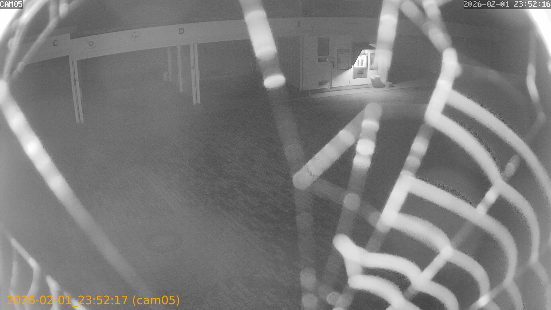 thumbnail_20260201235217