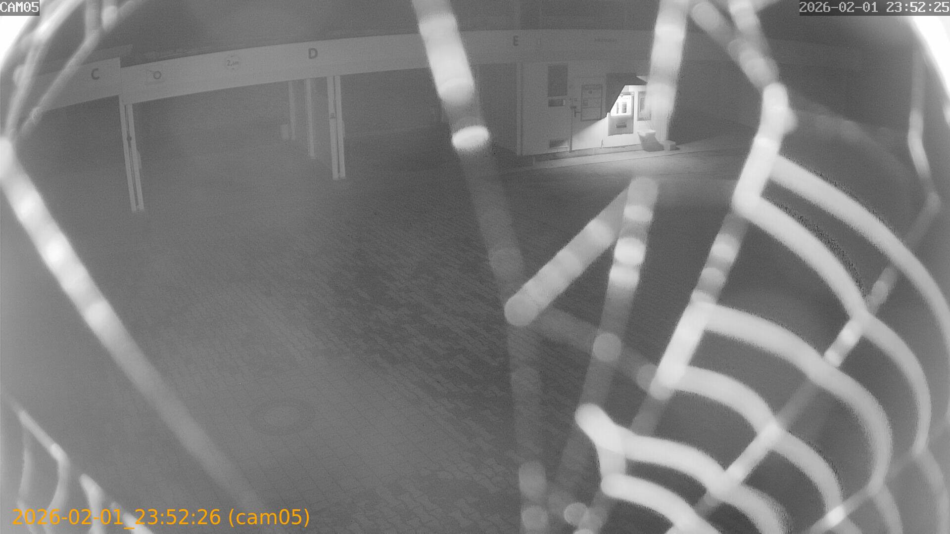 thumbnail_20260201235226