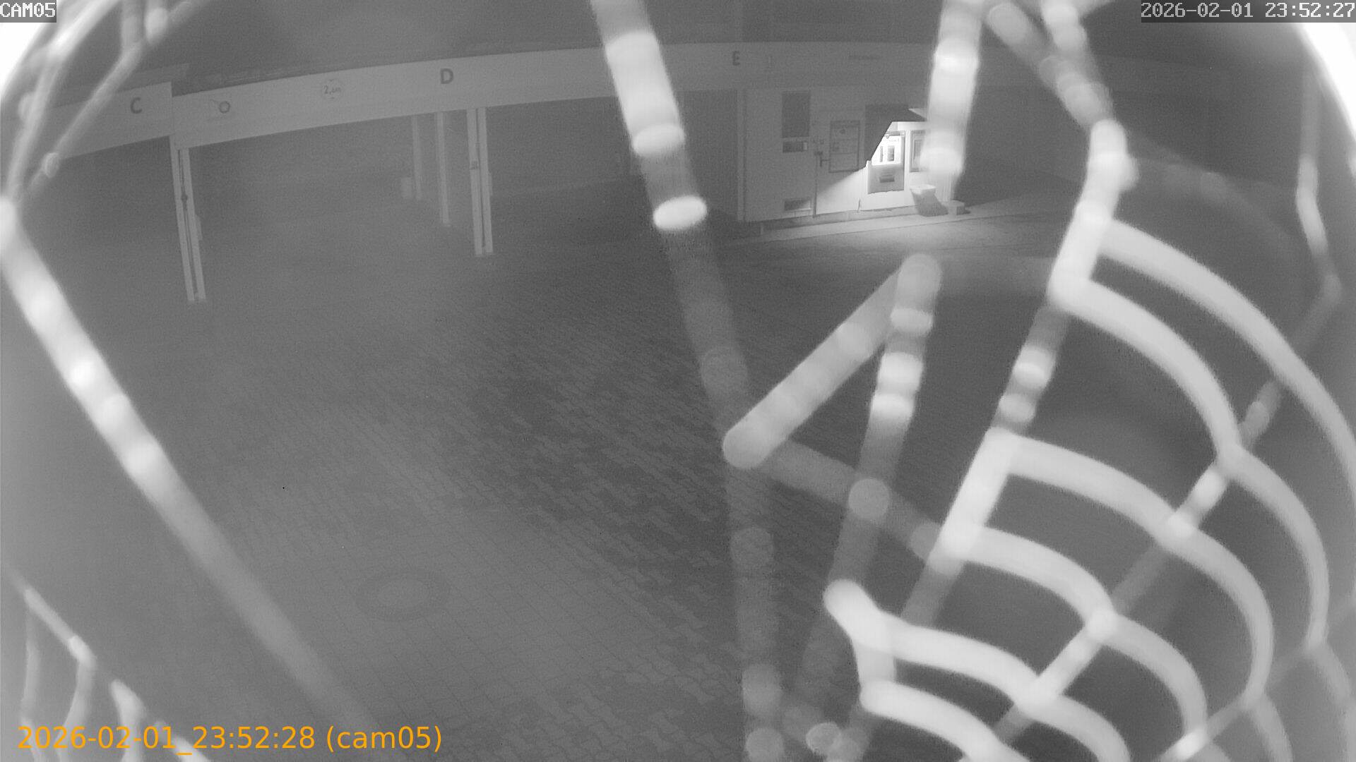 thumbnail_20260201235228