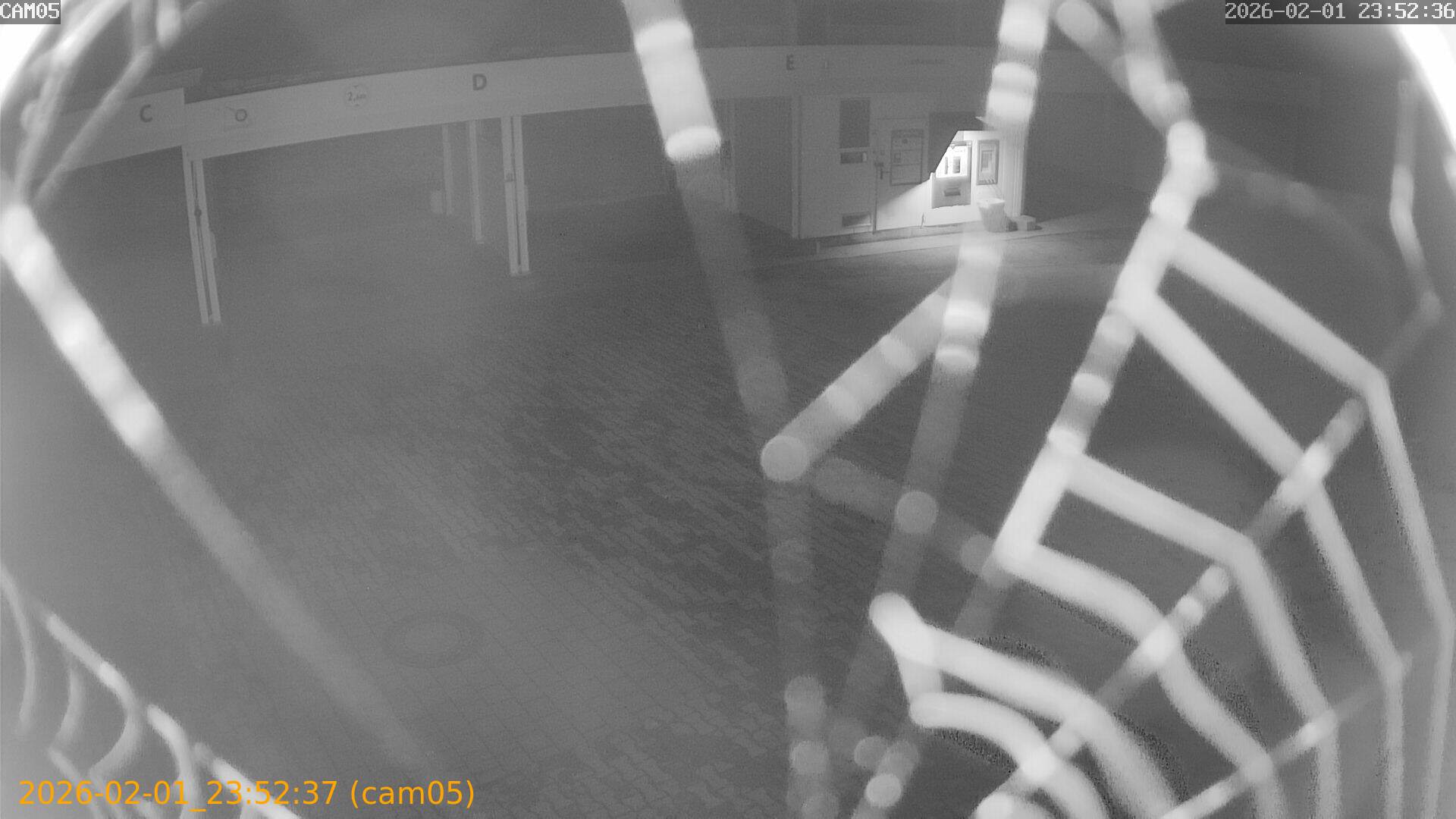 thumbnail_20260201235237