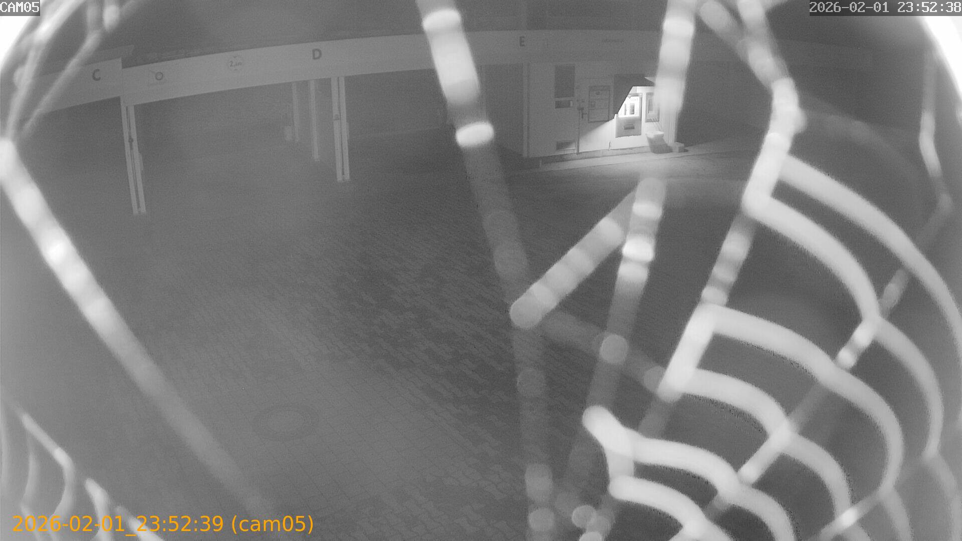 thumbnail_20260201235239