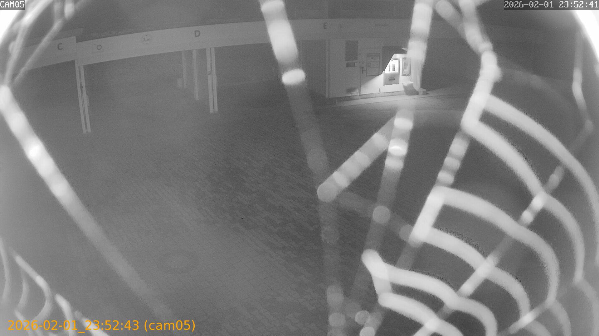 thumbnail_20260201235242