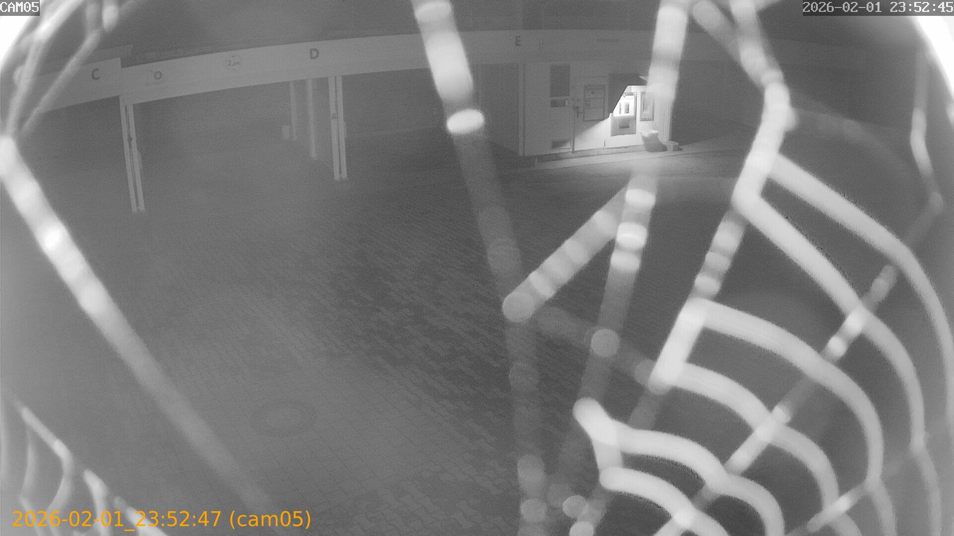 thumbnail_20260201235247