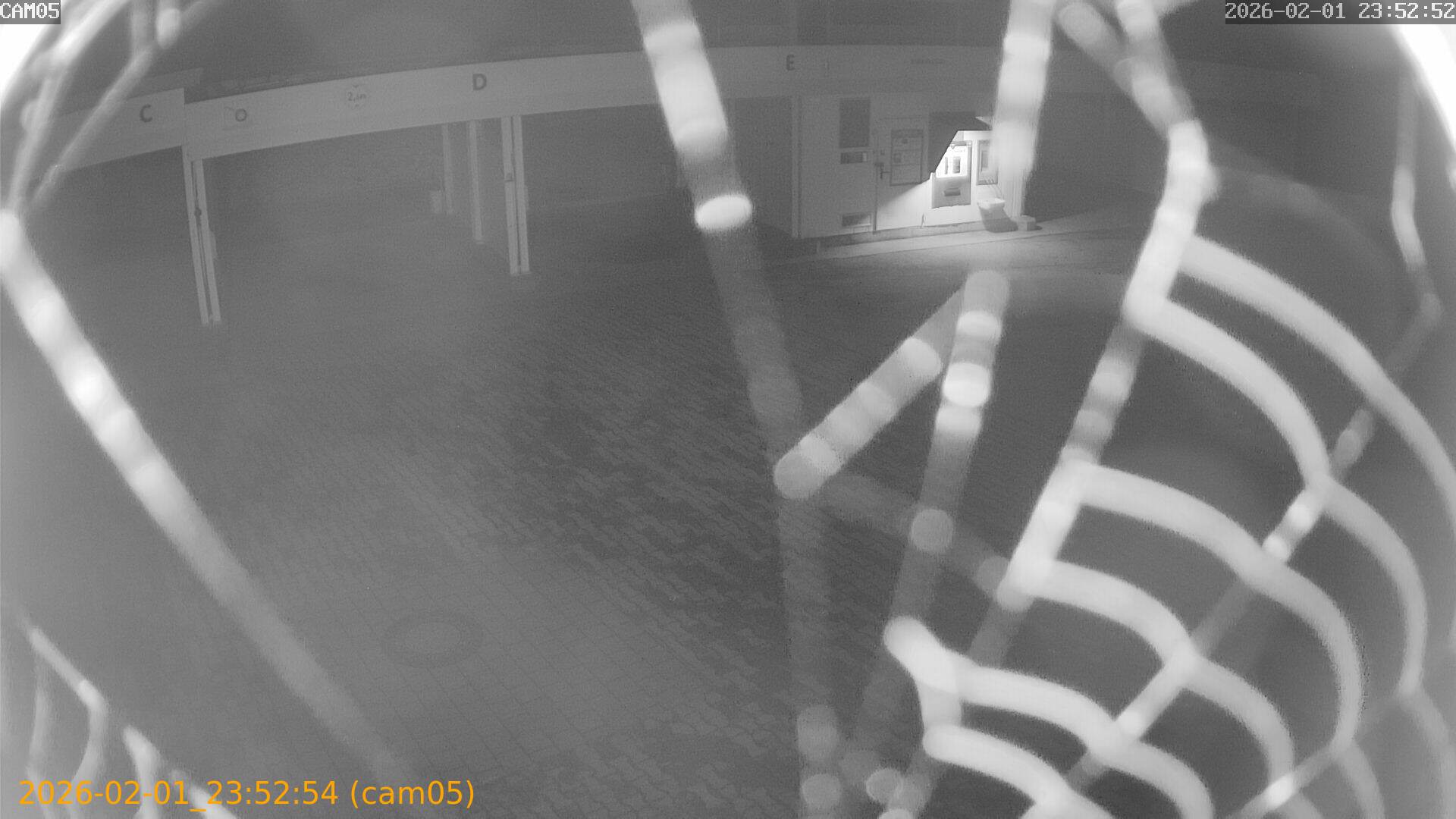 thumbnail_20260201235254