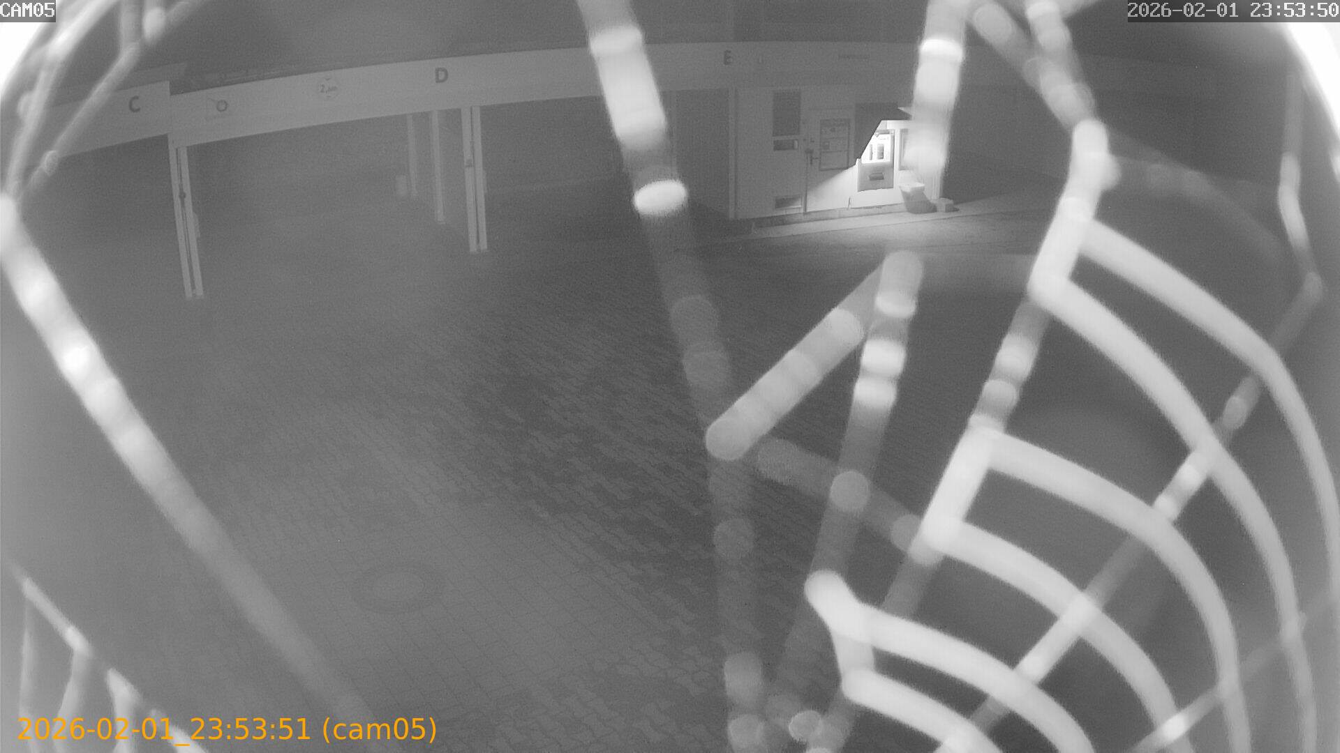 thumbnail_20260201235351