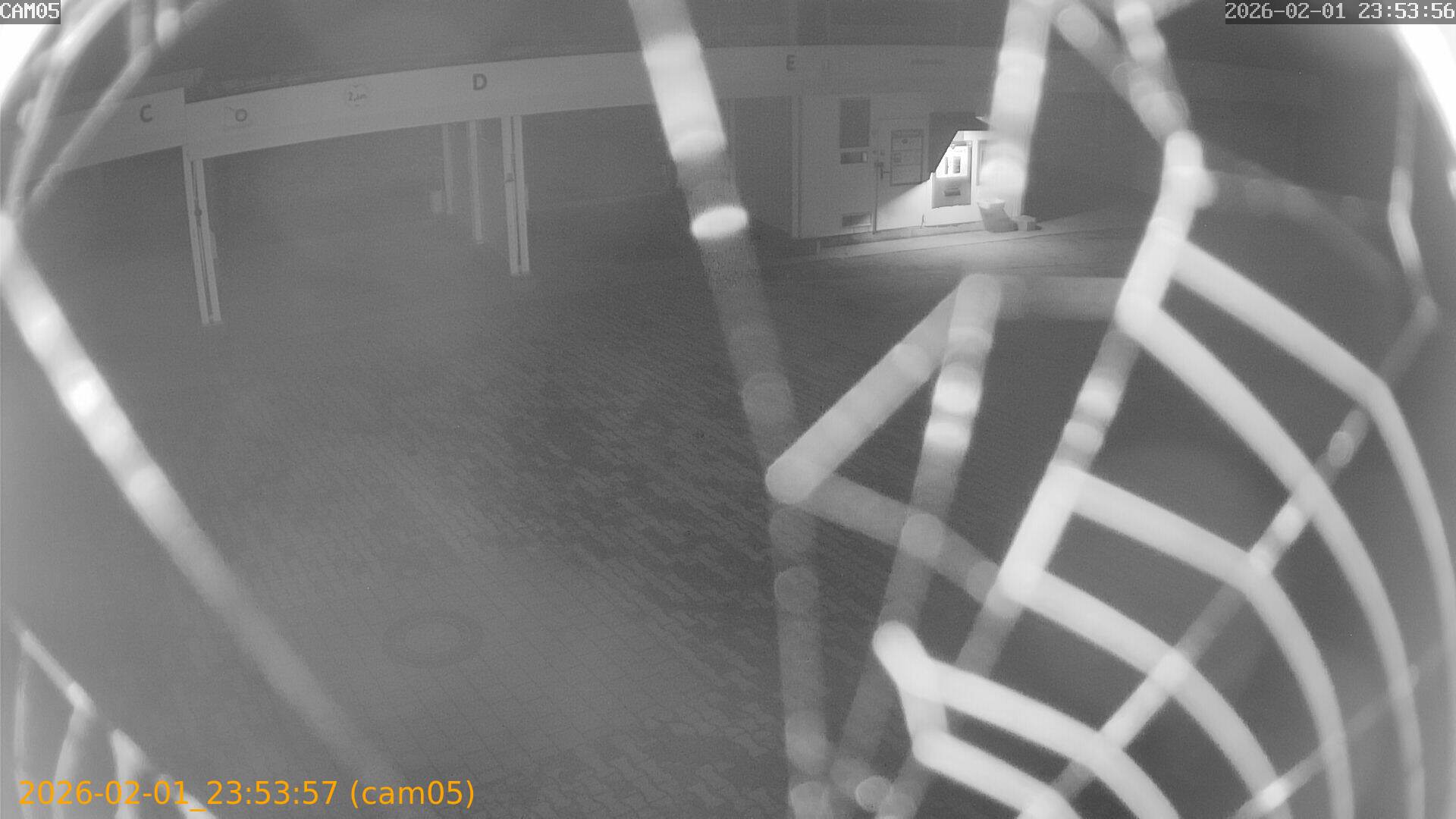 thumbnail_20260201235357