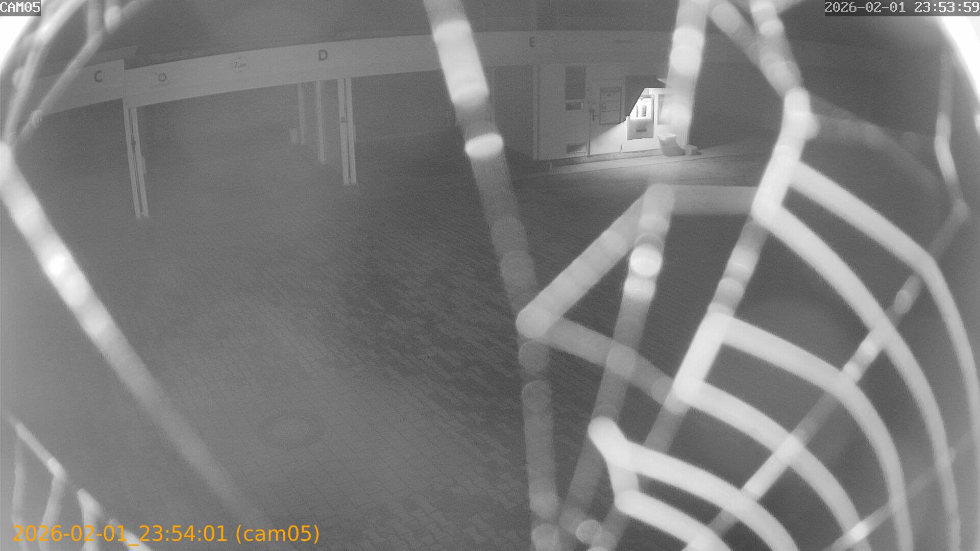 thumbnail_20260201235401