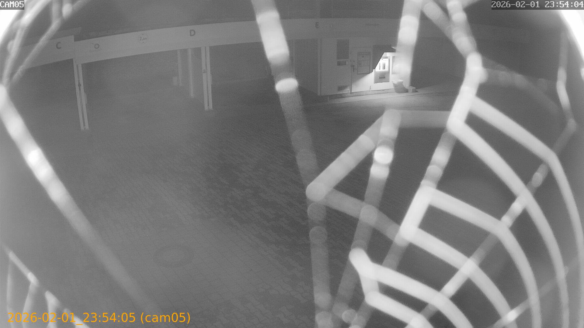 thumbnail_20260201235405