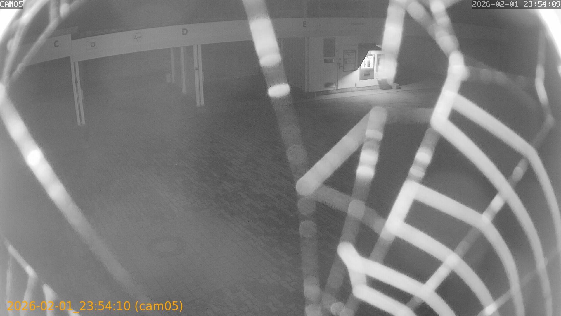 thumbnail_20260201235410