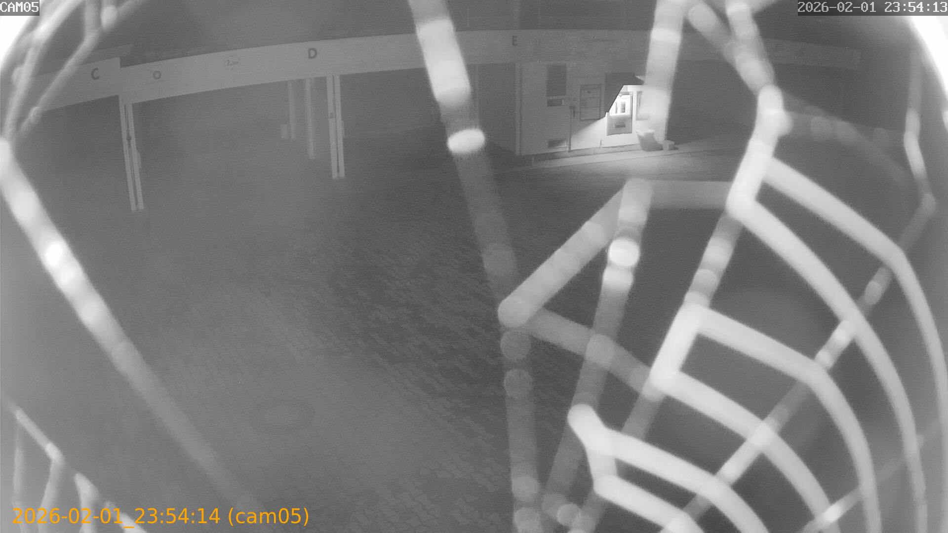 thumbnail_20260201235414