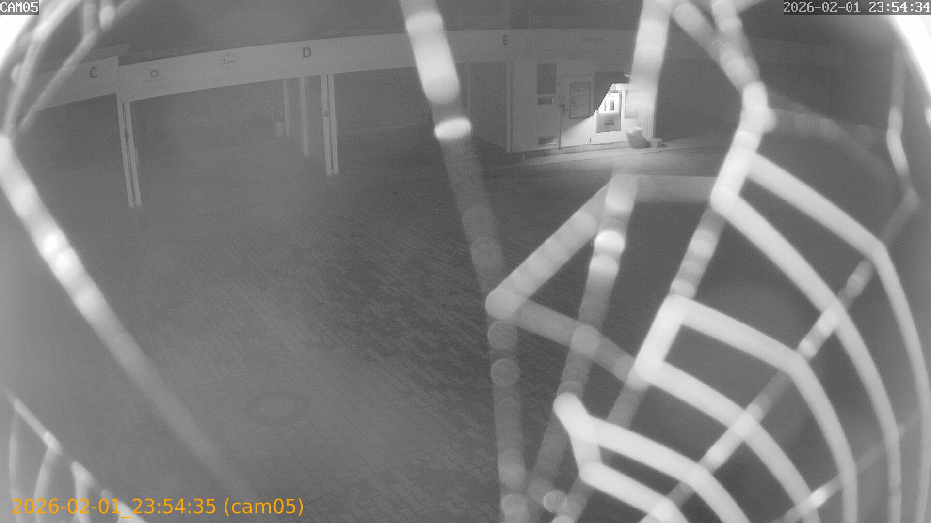 thumbnail_20260201235435