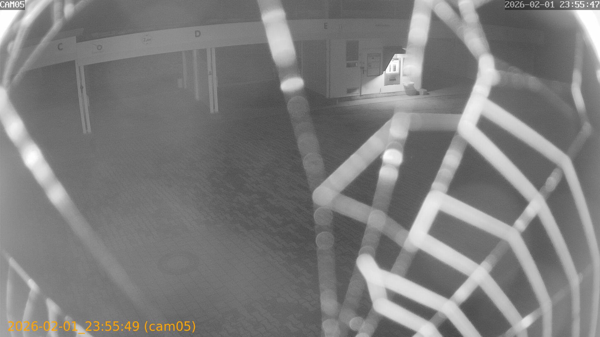 thumbnail_20260201235548