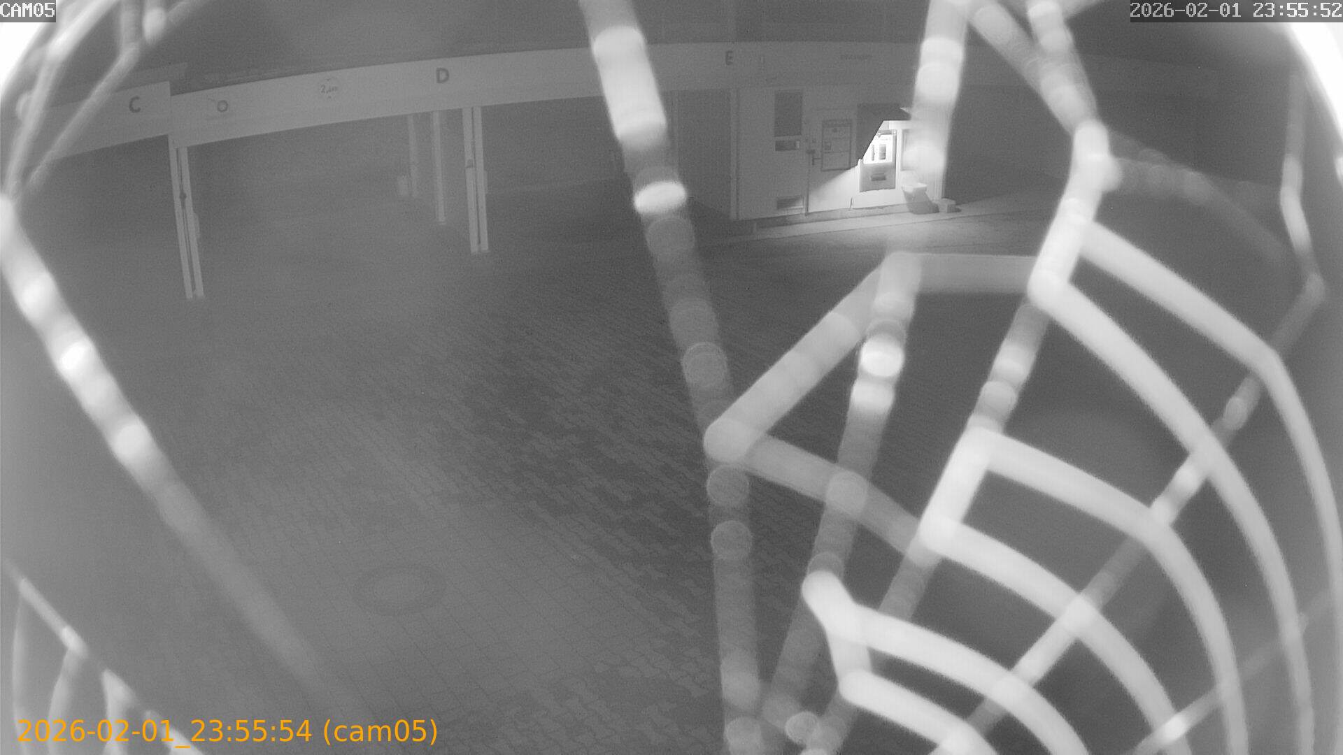 thumbnail_20260201235554