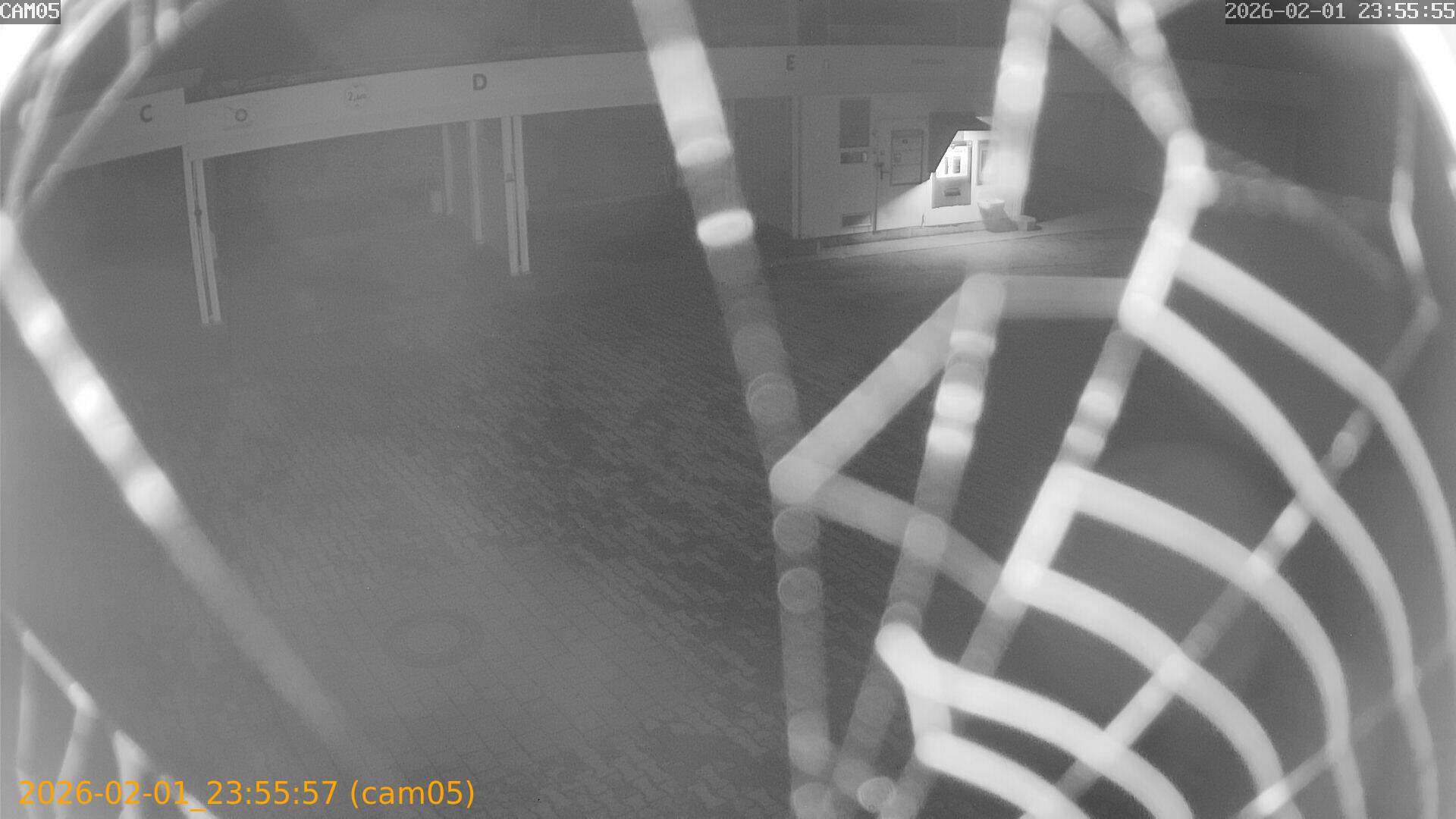 thumbnail_20260201235557