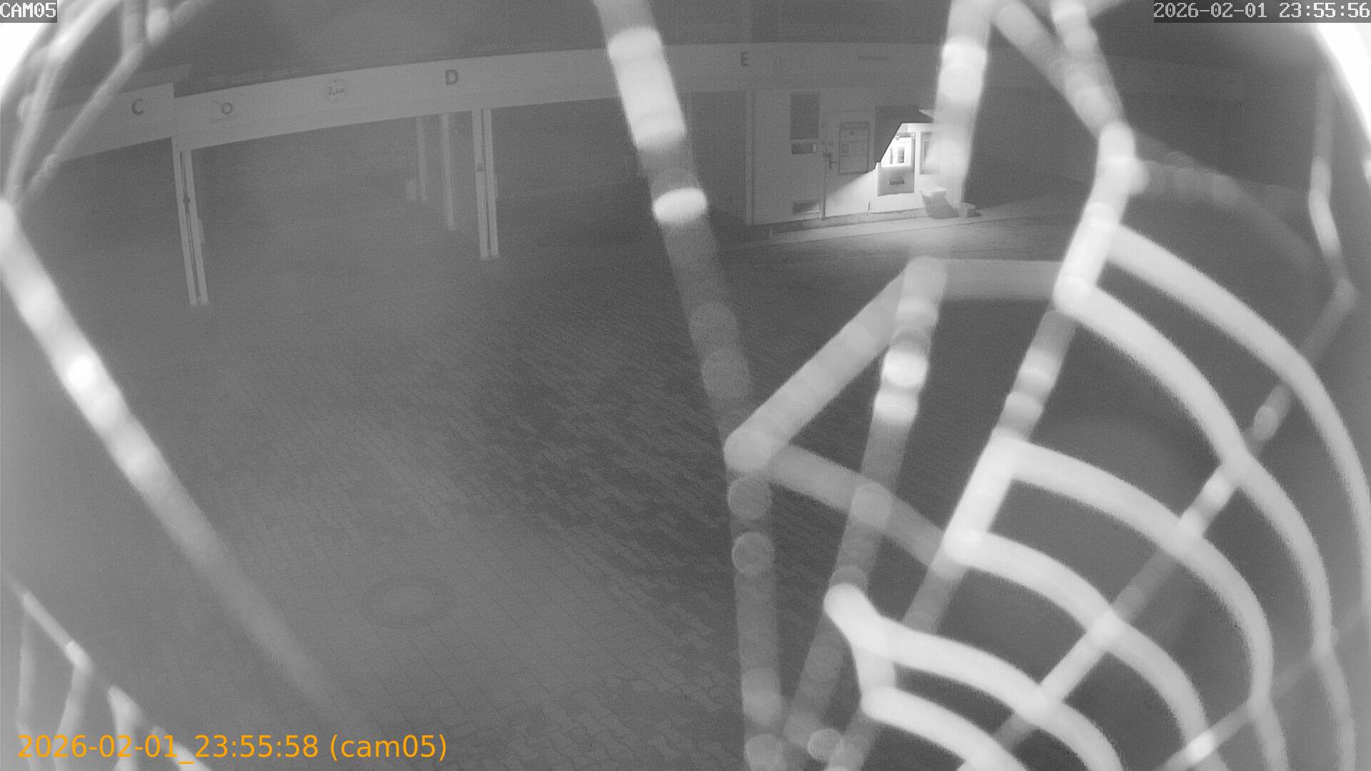 thumbnail_20260201235558