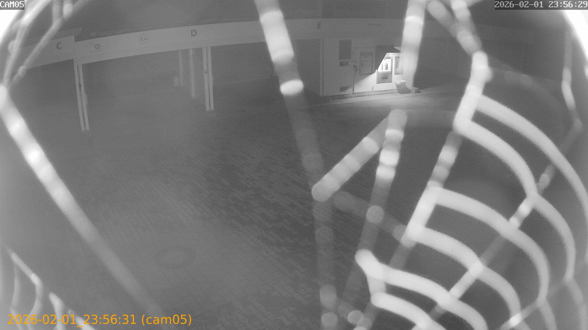 thumbnail_20260201235631