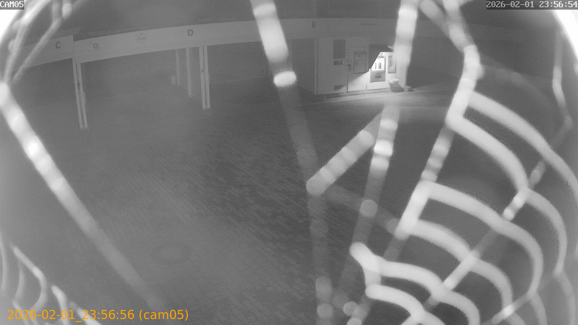 thumbnail_20260201235656