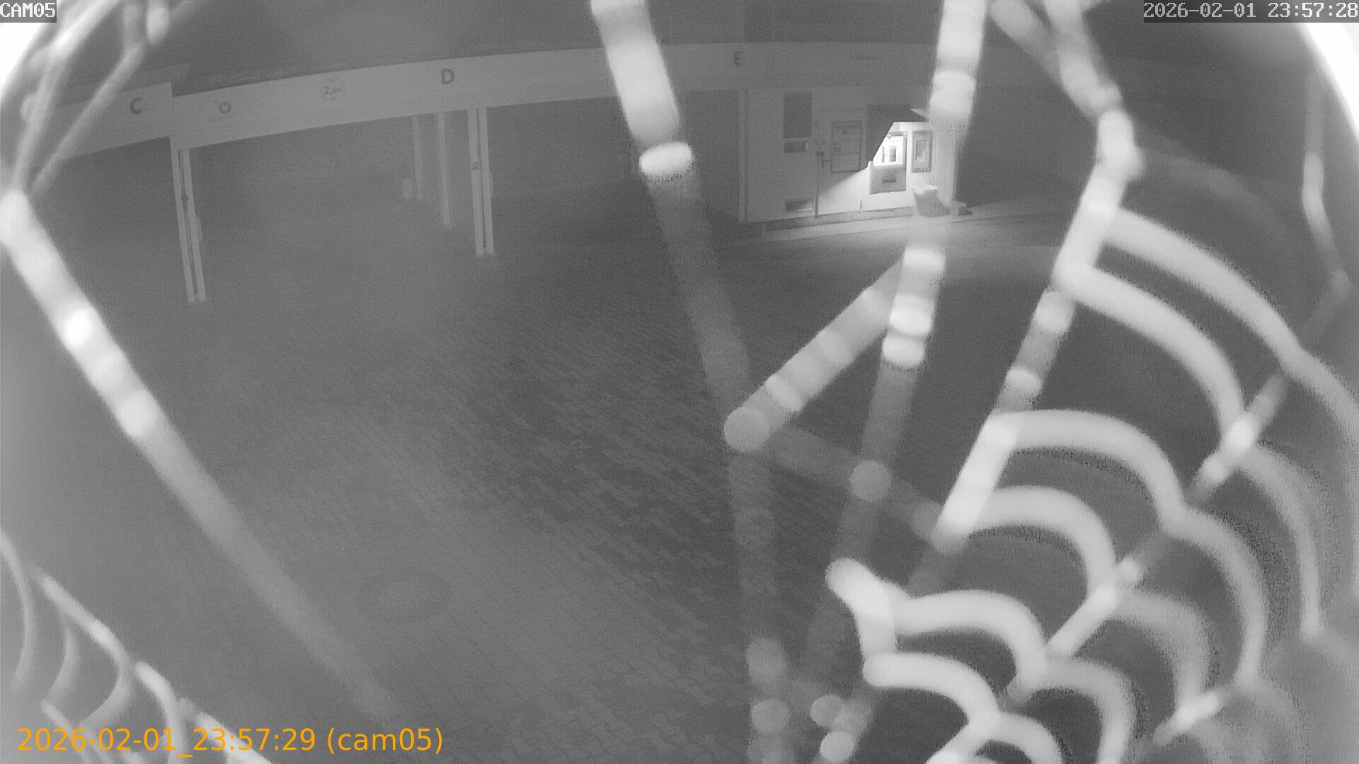 thumbnail_20260201235729