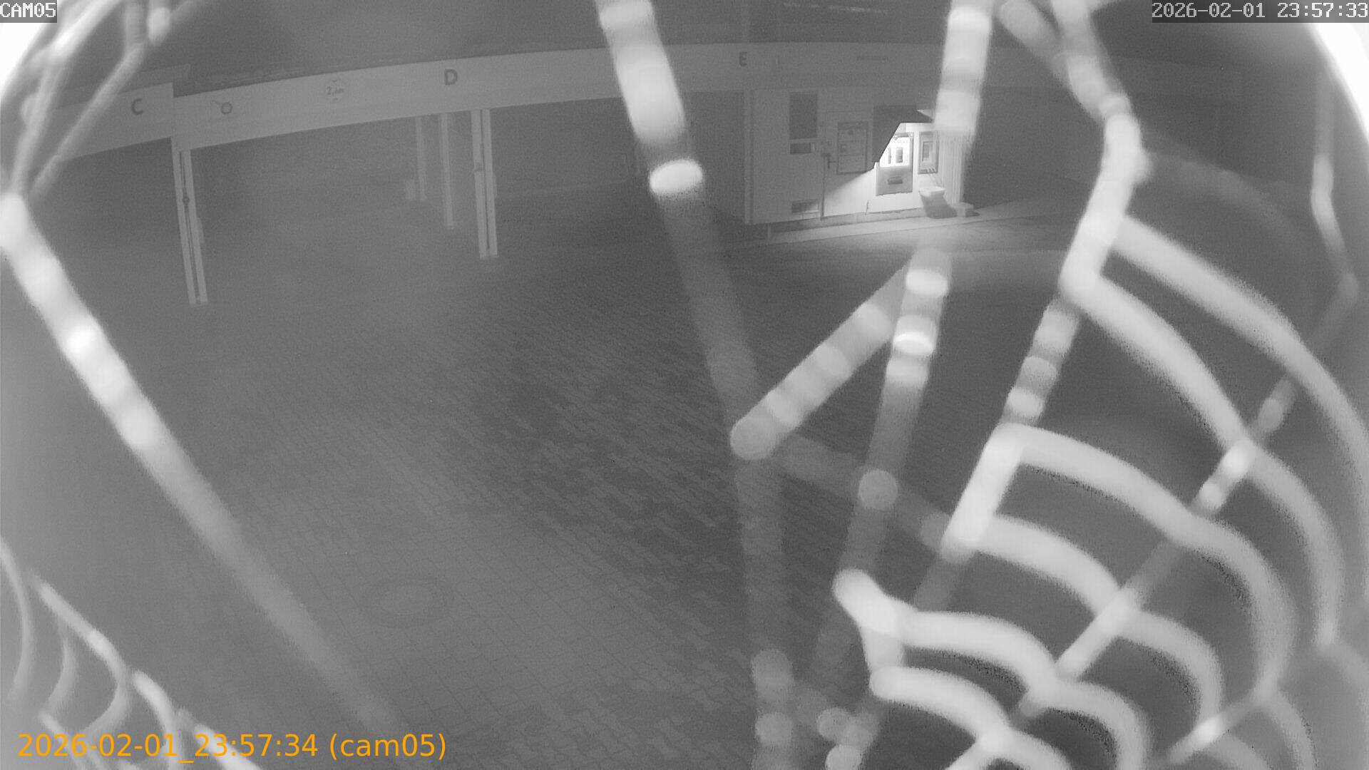 thumbnail_20260201235734