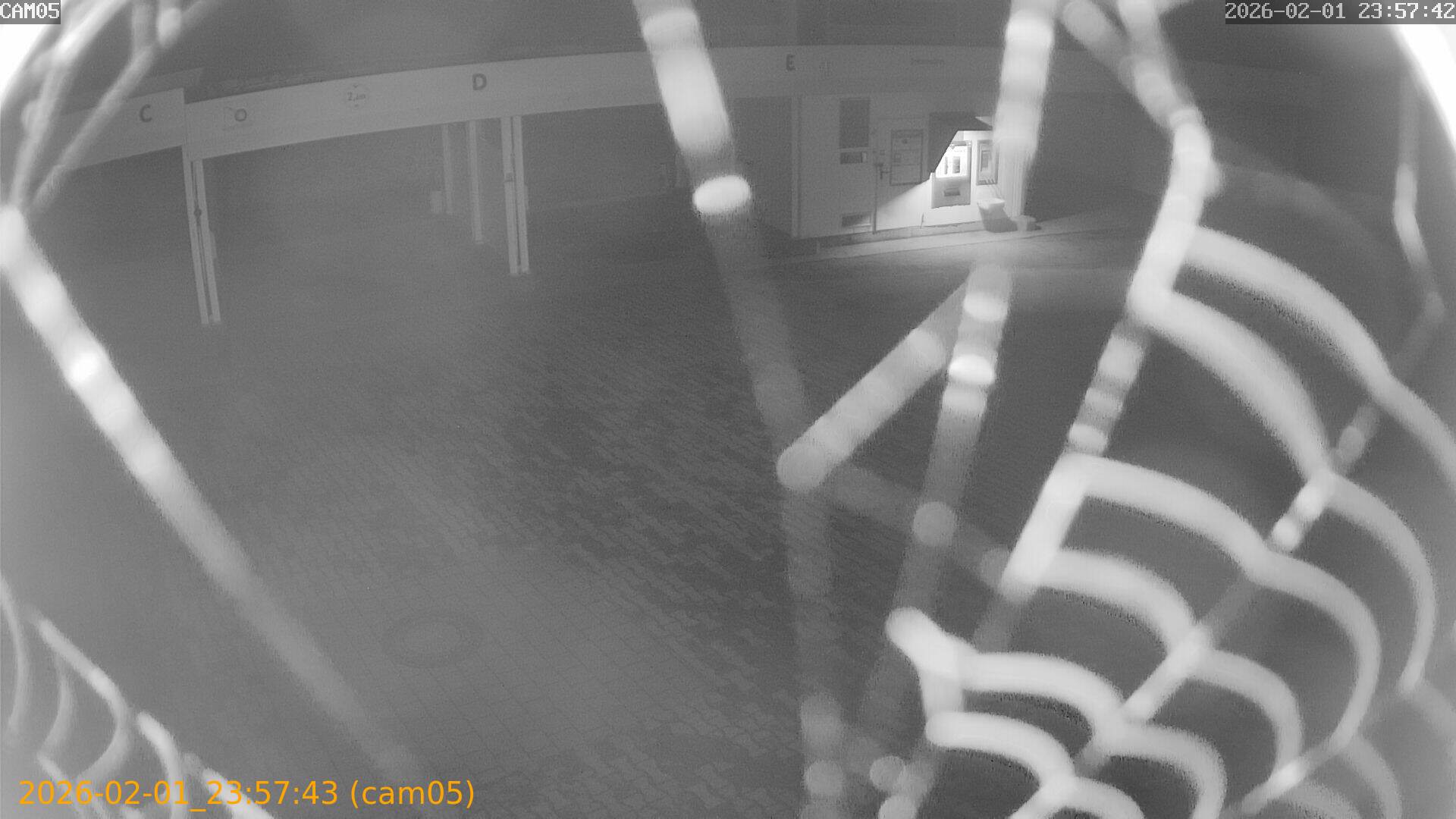 thumbnail_20260201235743