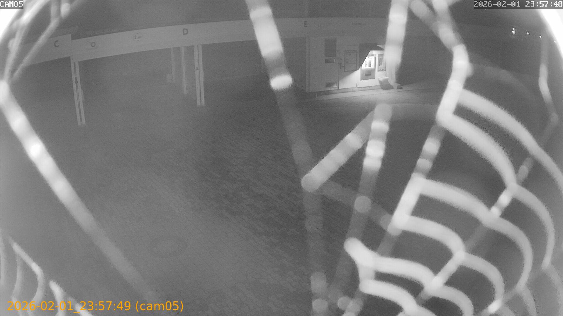 thumbnail_20260201235749