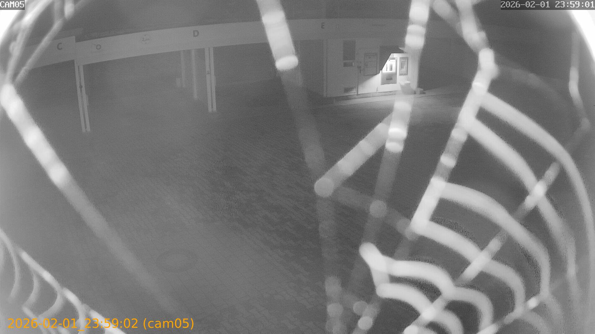 thumbnail_20260201235902