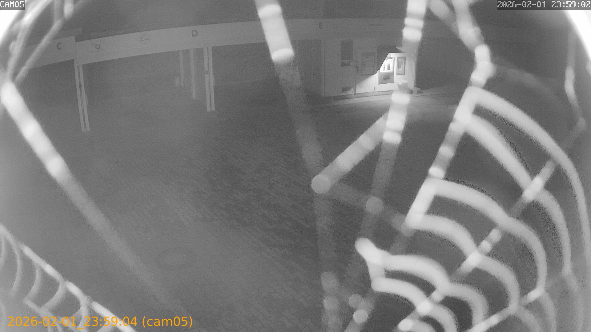 thumbnail_20260201235904