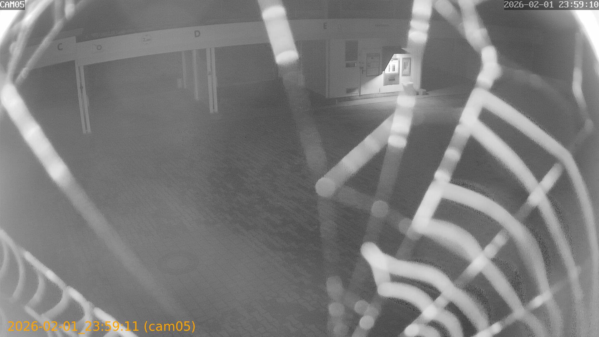 thumbnail_20260201235911