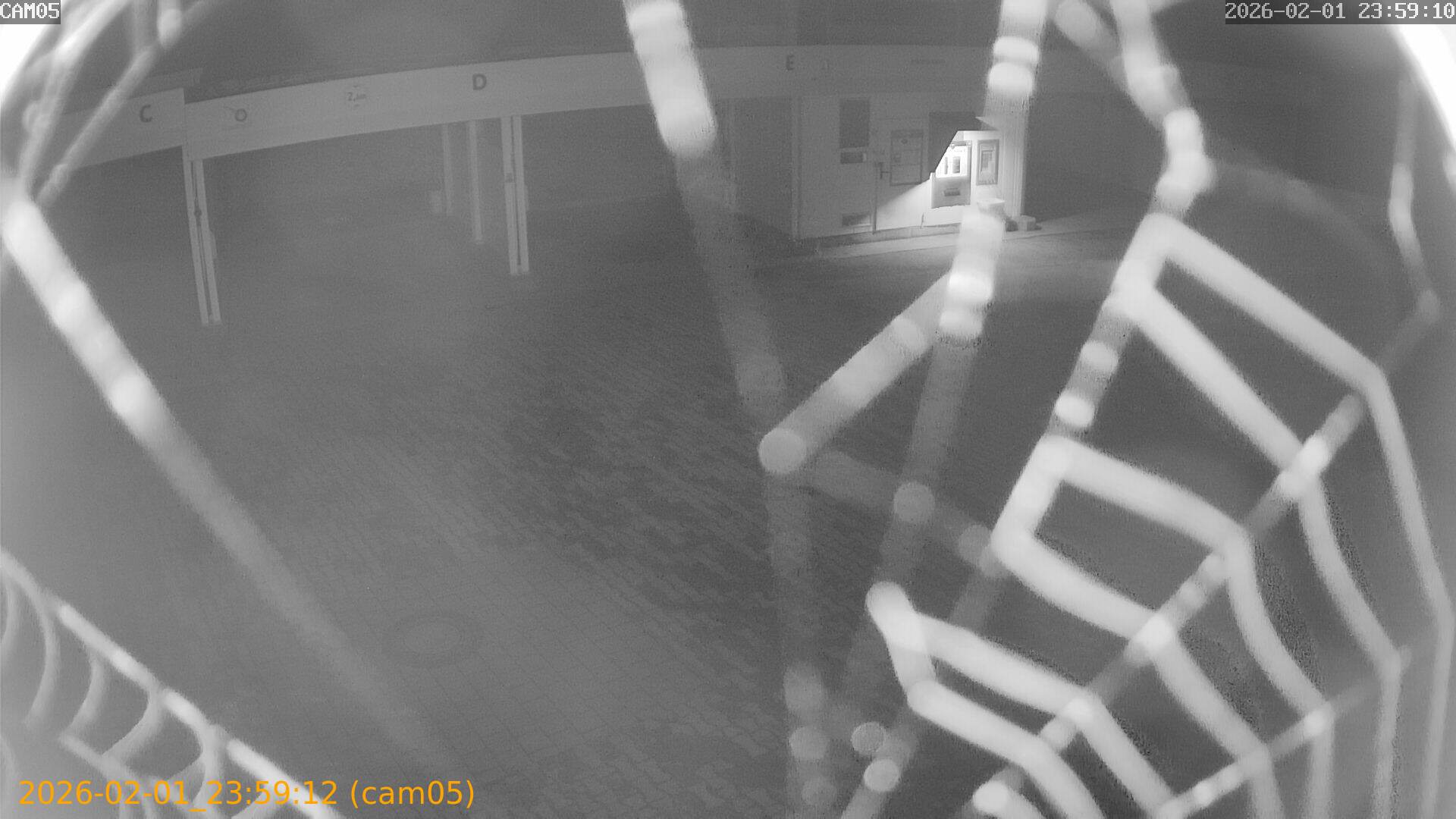 thumbnail_20260201235912