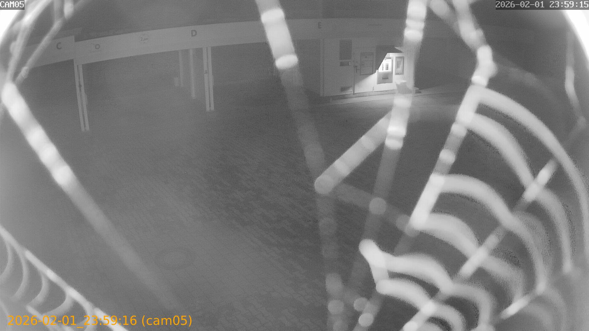 thumbnail_20260201235916