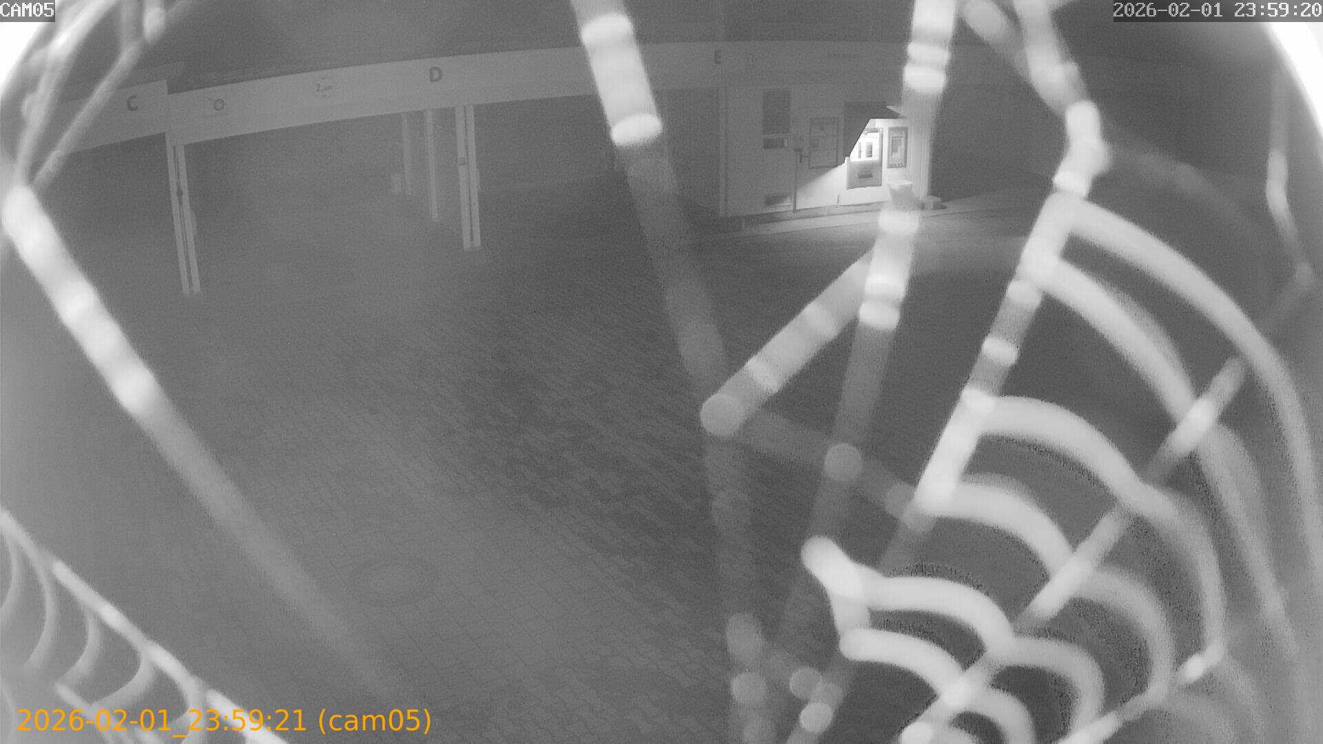 thumbnail_20260201235921