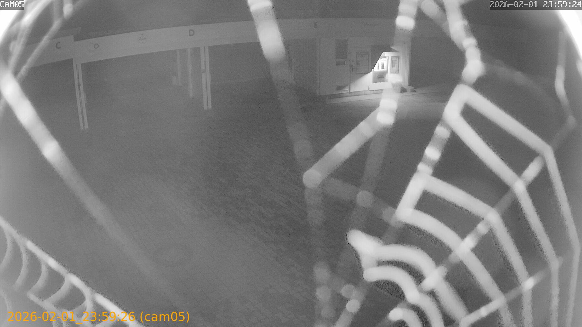 thumbnail_20260201235926