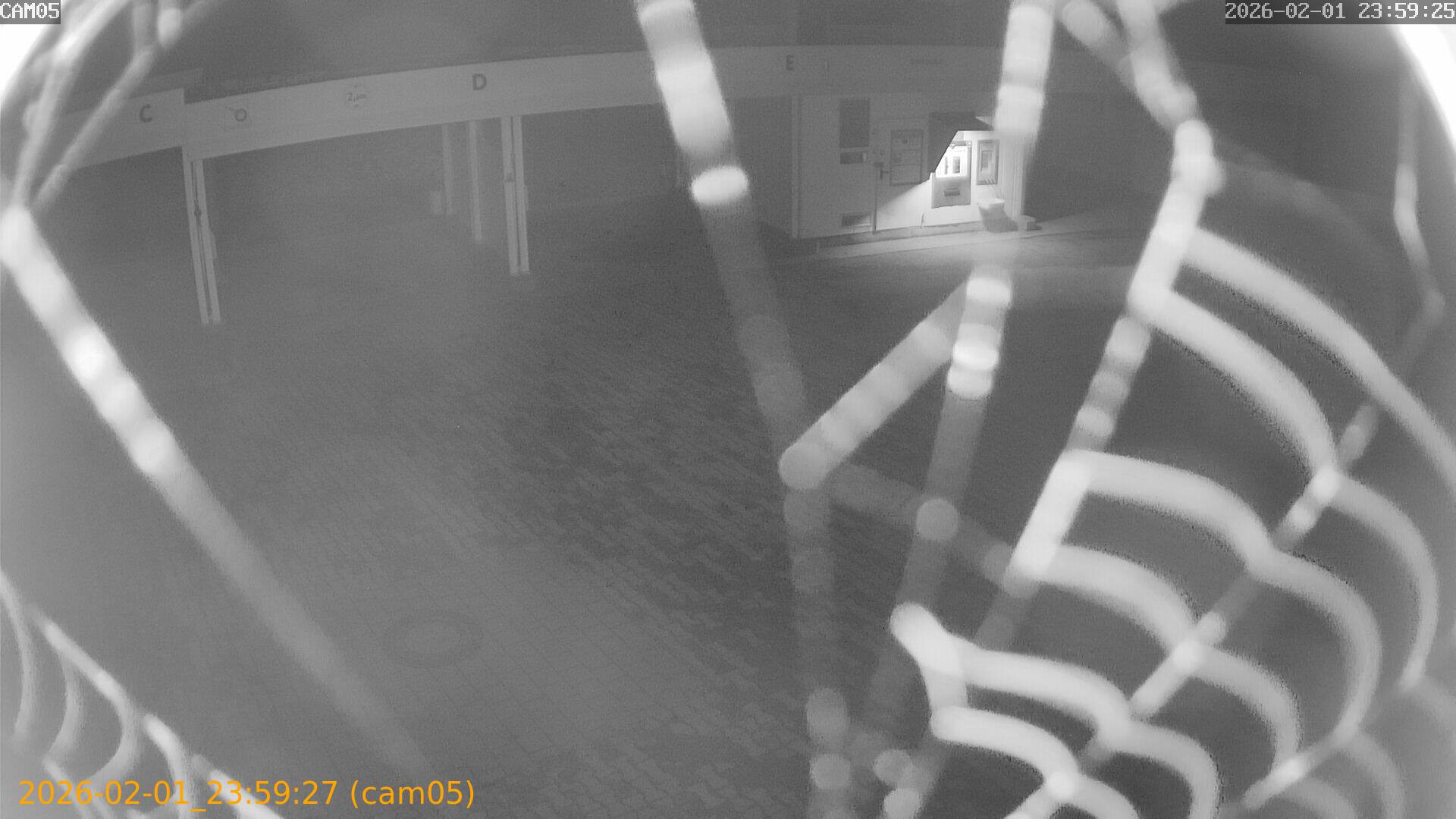 thumbnail_20260201235927