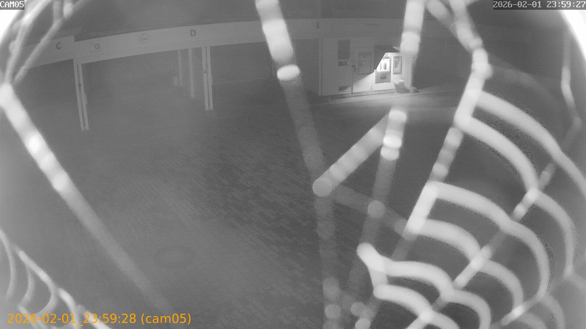 thumbnail_20260201235928