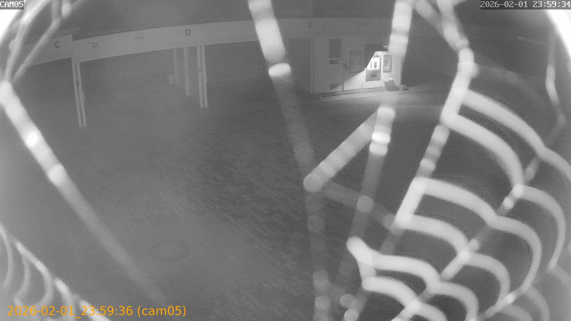 thumbnail_20260201235936