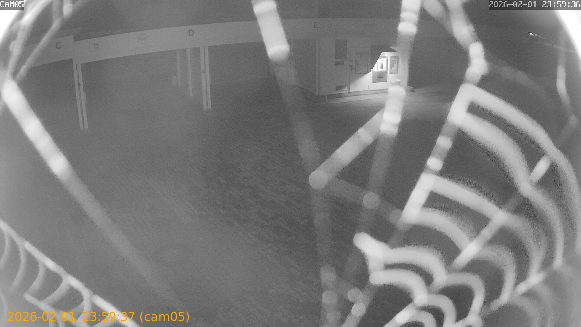 thumbnail_20260201235937