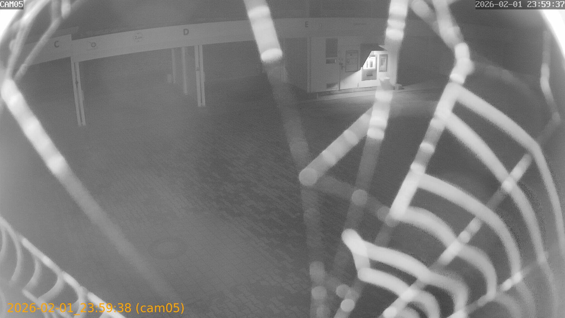 thumbnail_20260201235938