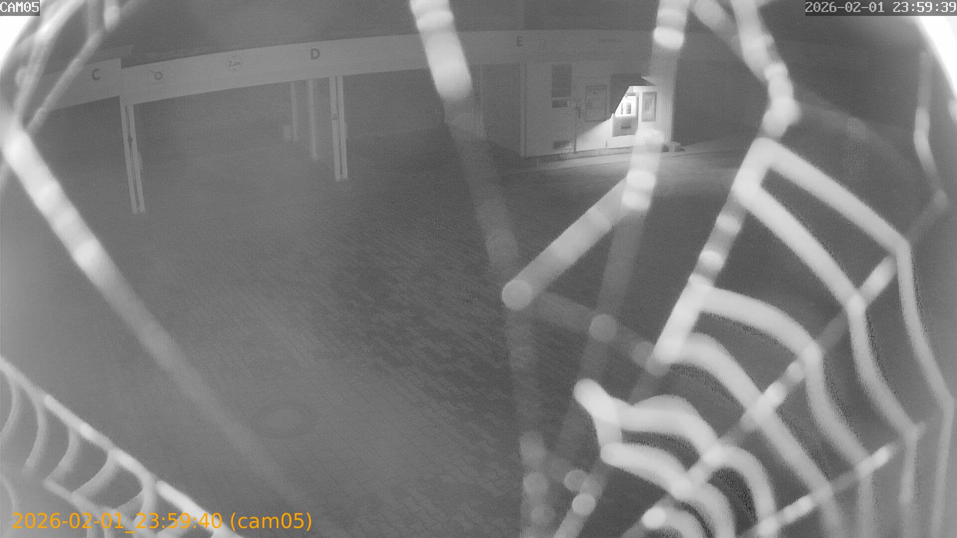 thumbnail_20260201235940