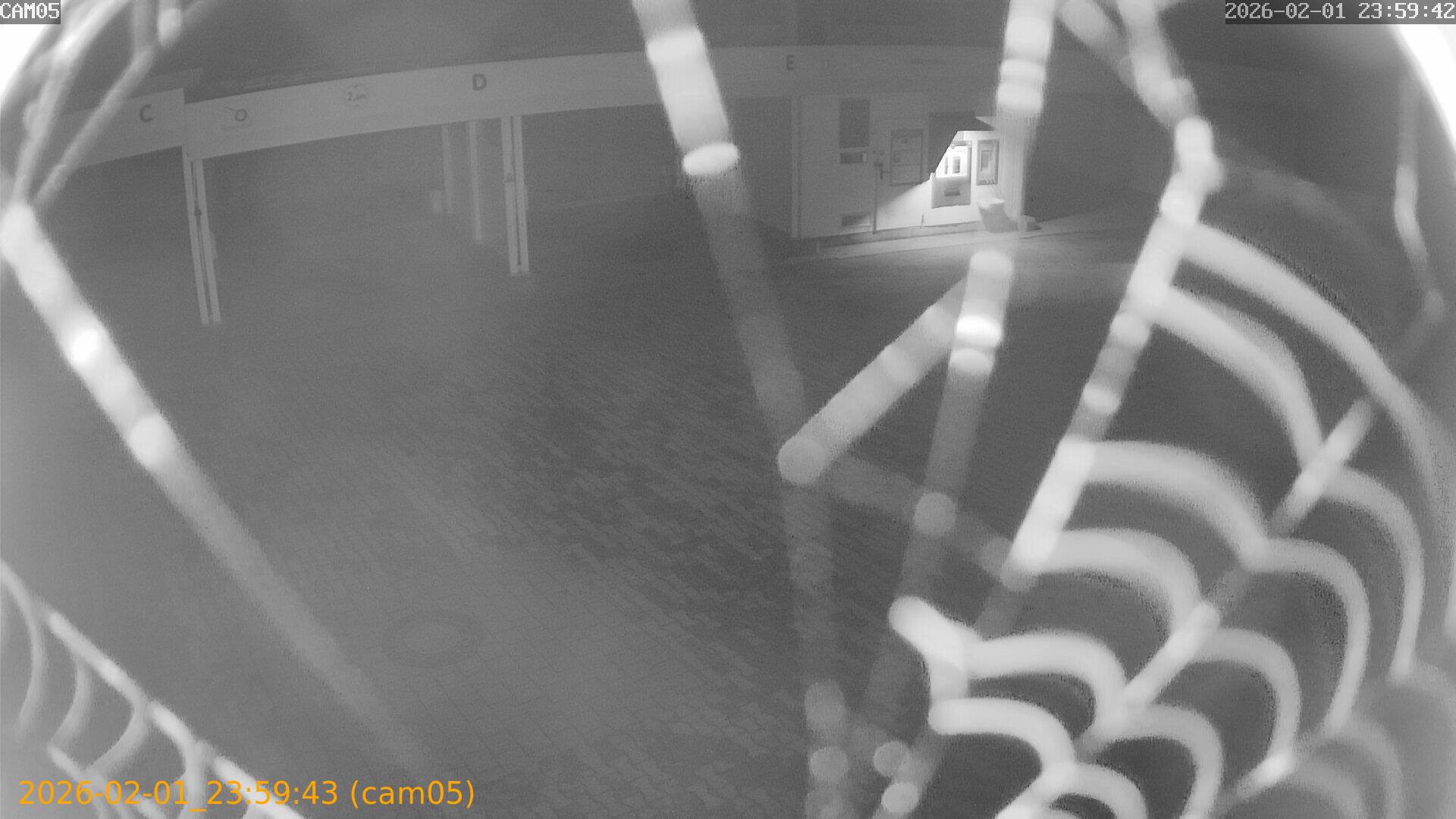 thumbnail_20260201235943