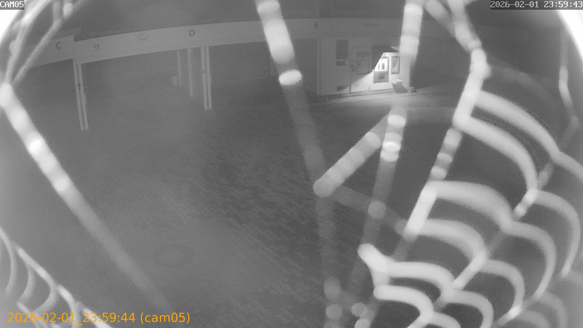 thumbnail_20260201235944