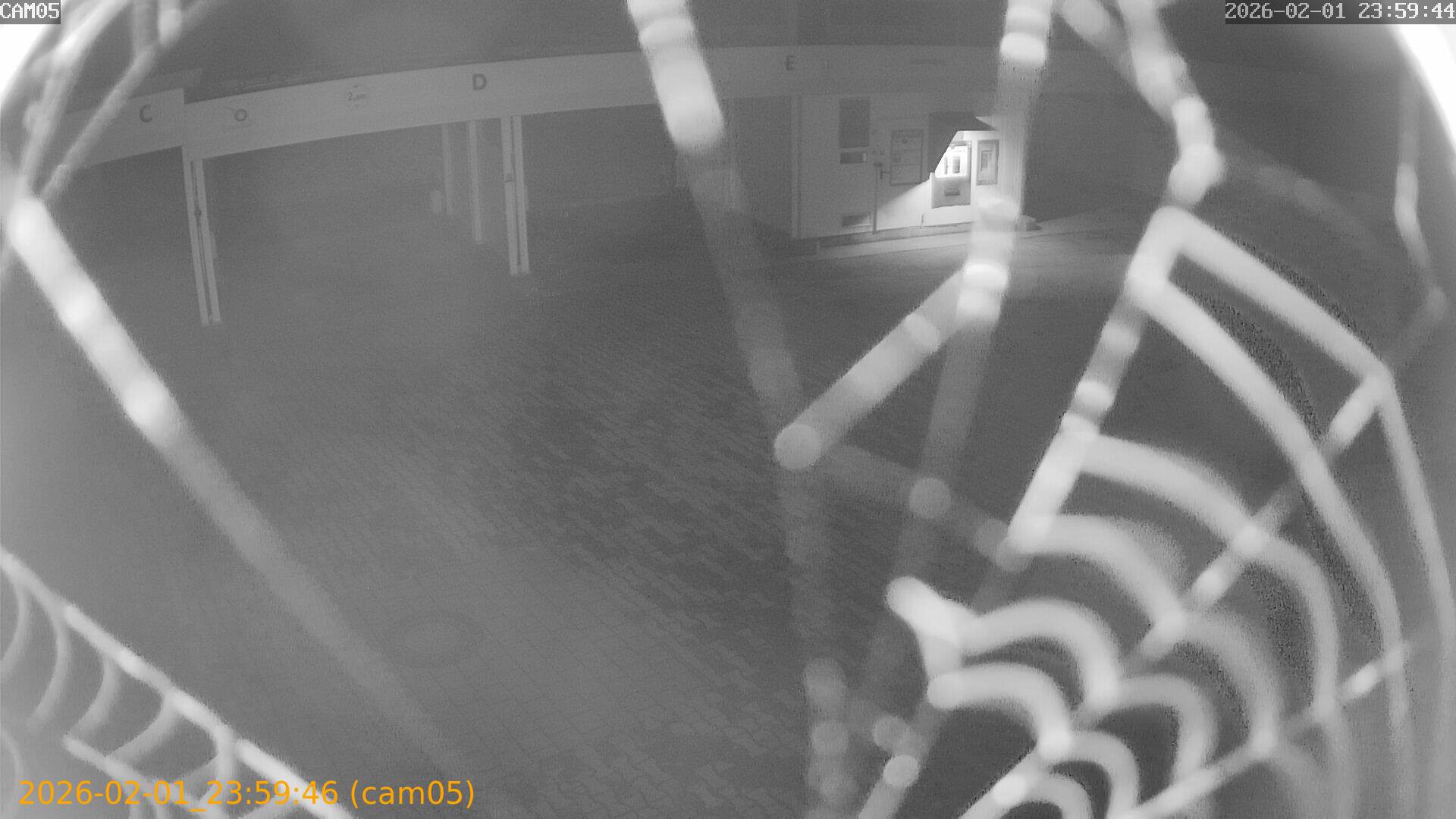 thumbnail_20260201235946