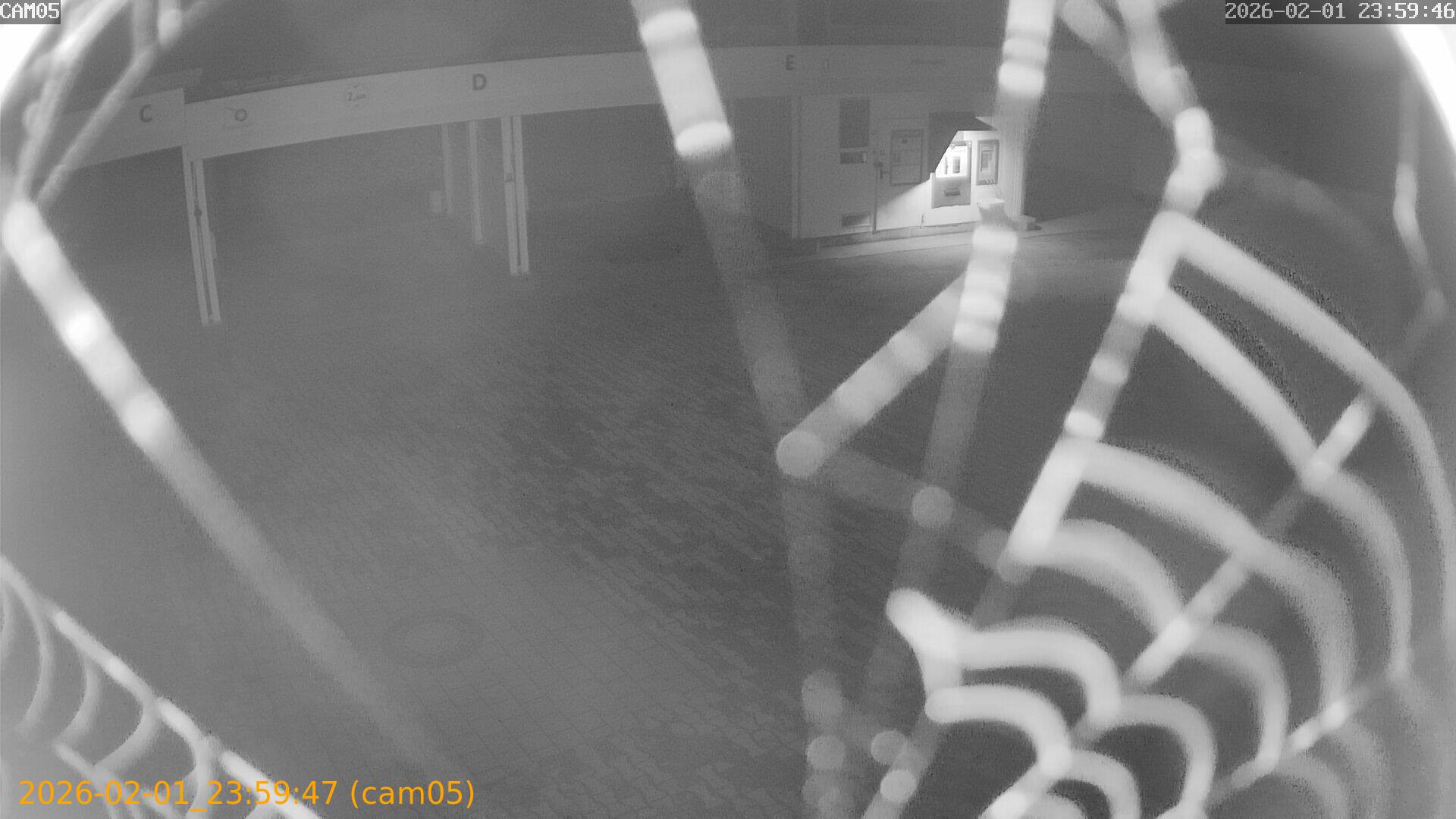 thumbnail_20260201235947