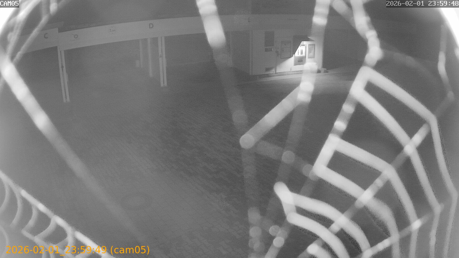 thumbnail_20260201235949