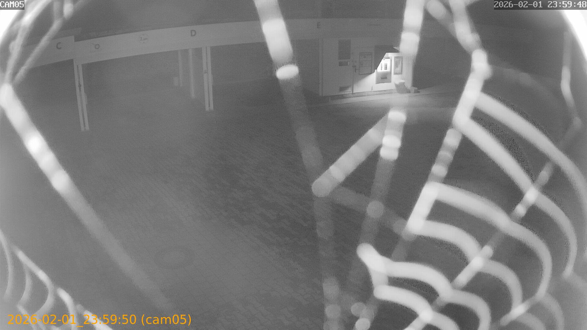 thumbnail_20260201235950