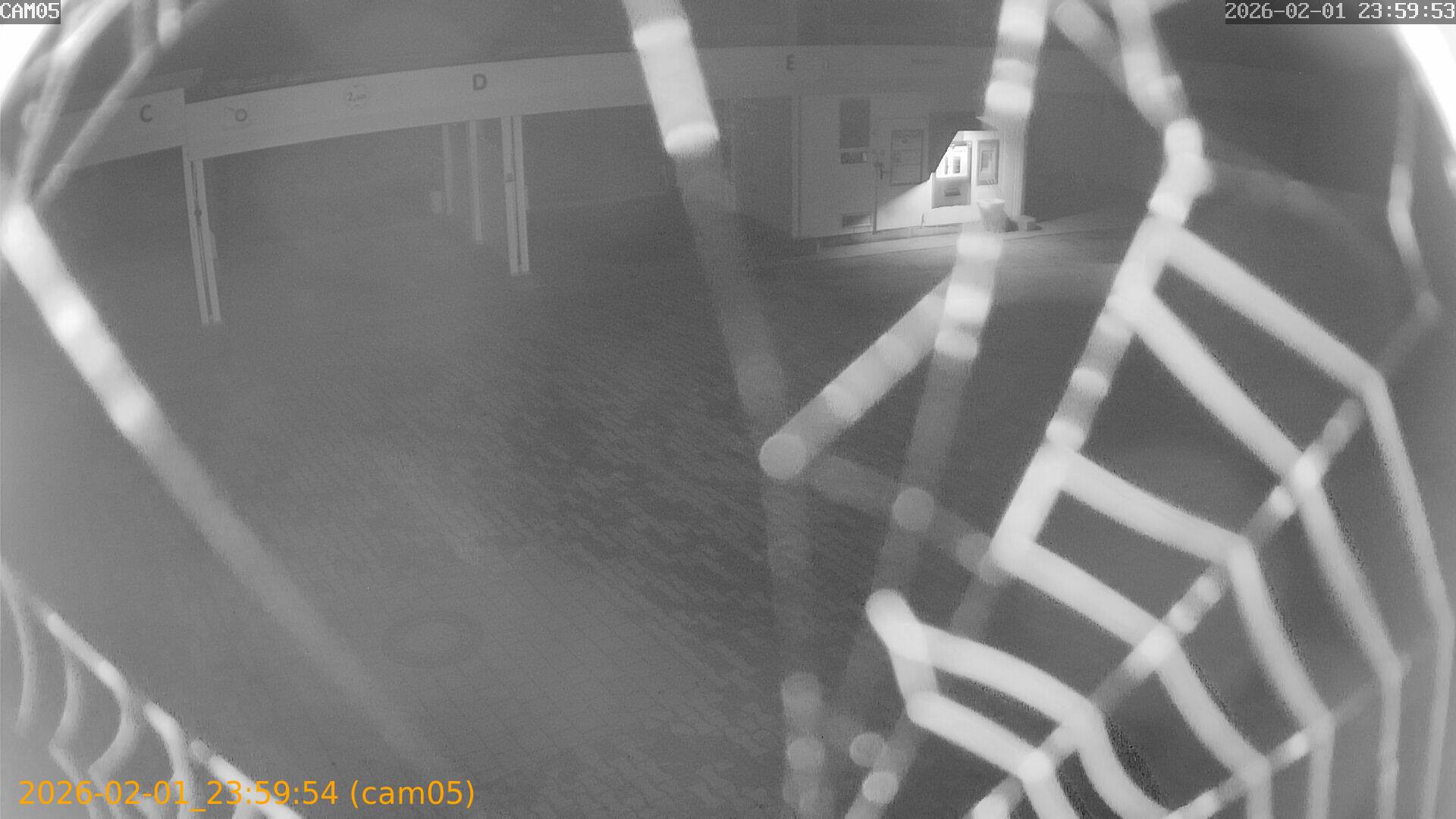 thumbnail_20260201235954